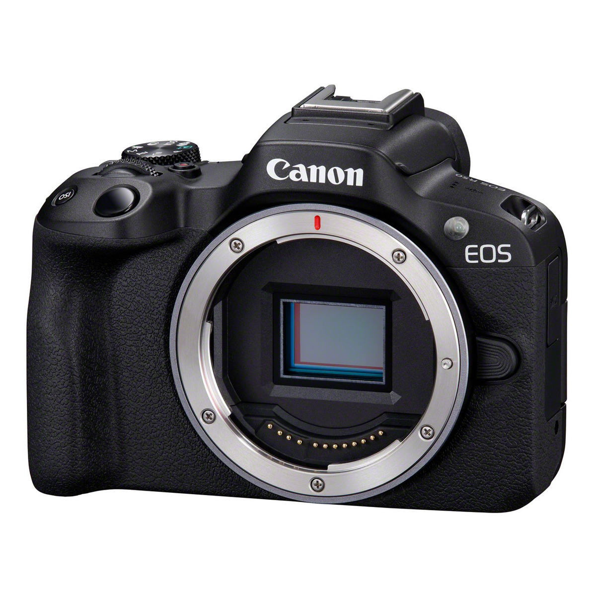Canon EOS R50 Body | 4549292205015