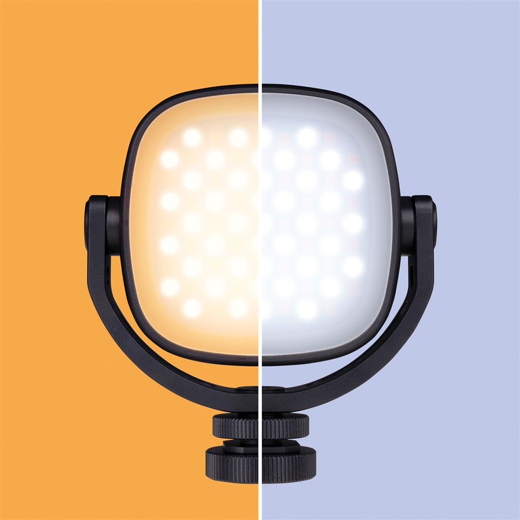 Dörr LED Videolicht MVL-77 4000461101427