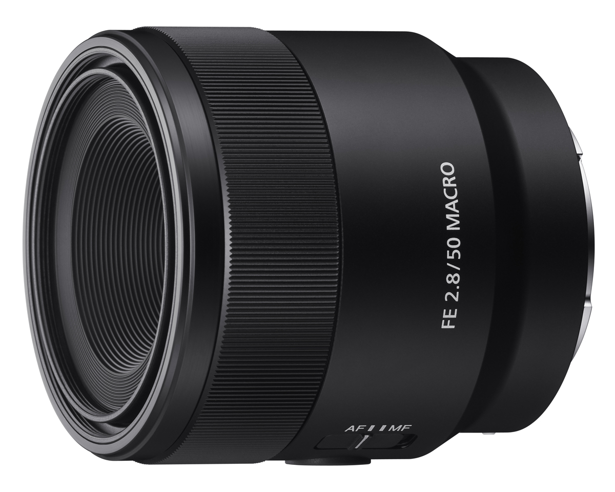 Sony SEL FE 2,8/50 mm Makro Objektiv 4548736043954