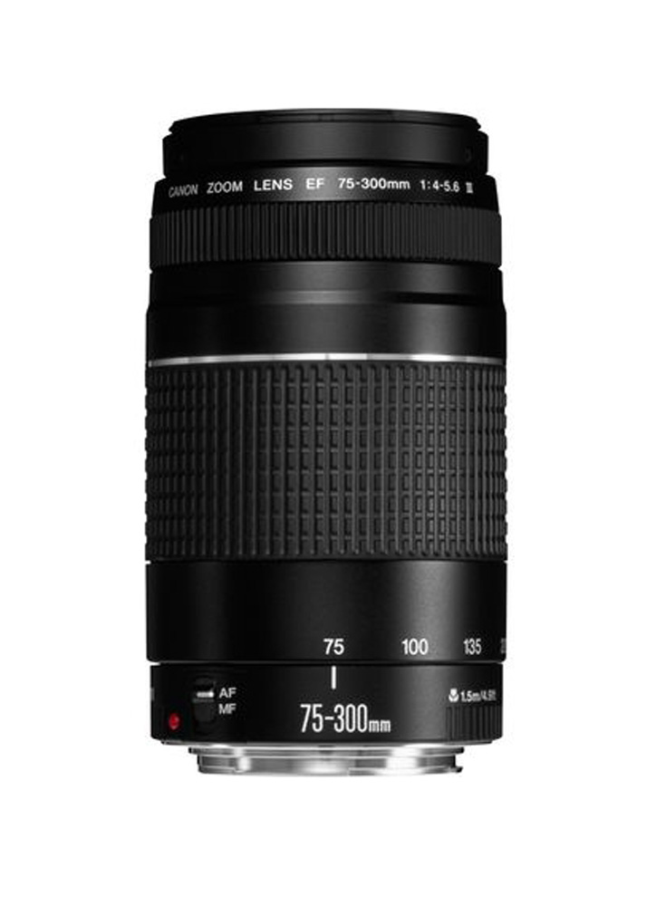 Canon EF 4-5,6/75-300 mm III Objektiv 4960999214078