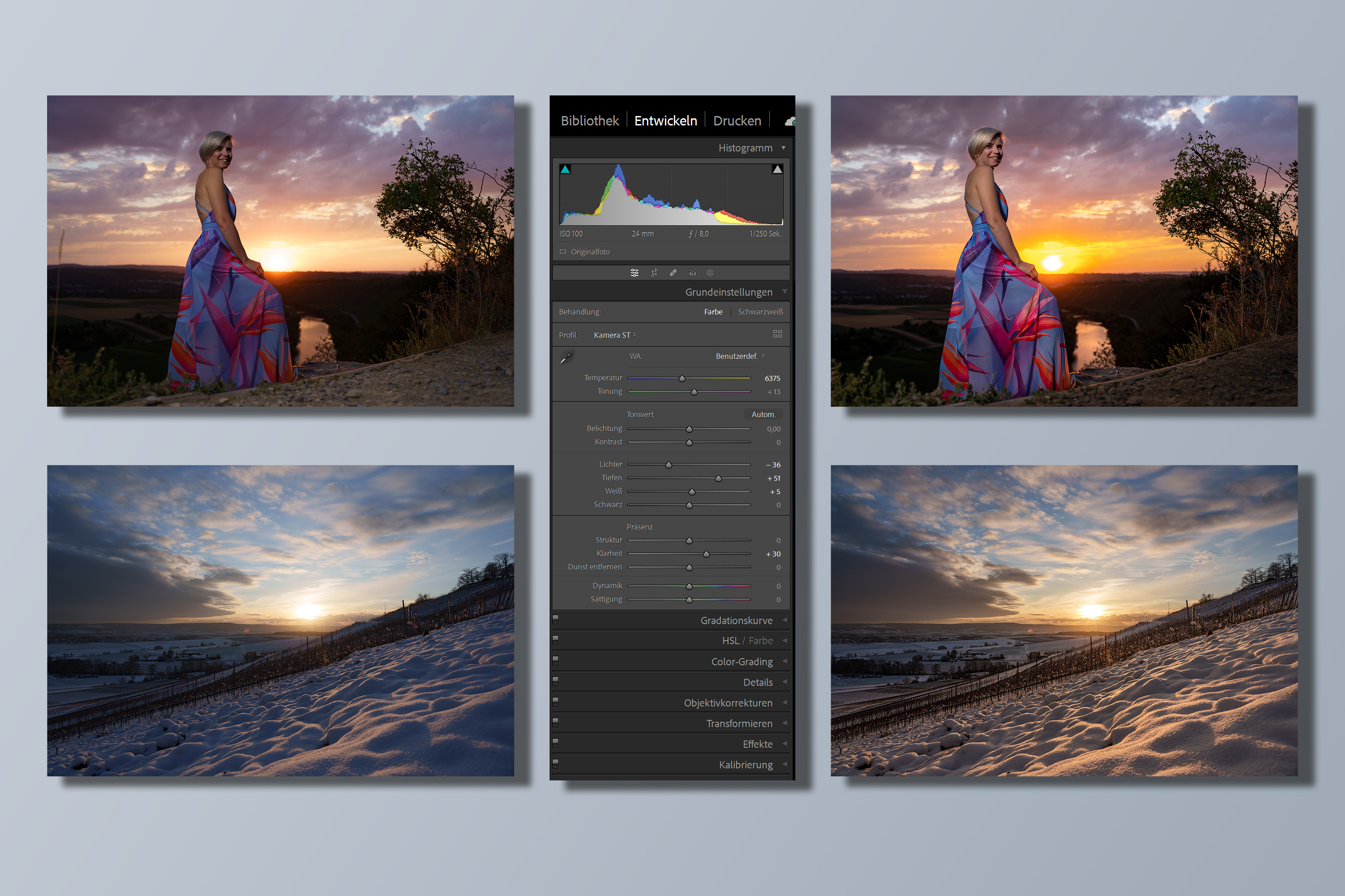 Basic's | Adobe "Lightroom Classic" - Workshop