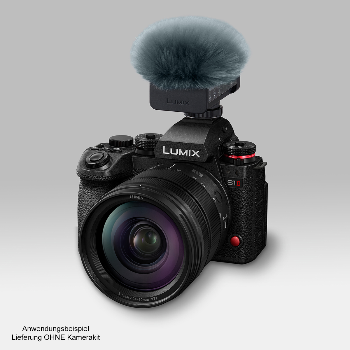 Panasonic DMW-DMS1, digitales Richtmikrofon