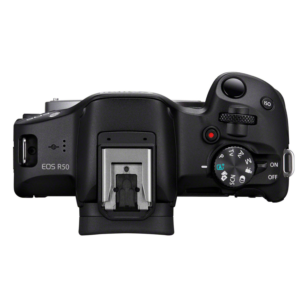 Canon EOS R50 Set mit EF - EOS R Bajonetter Adapter