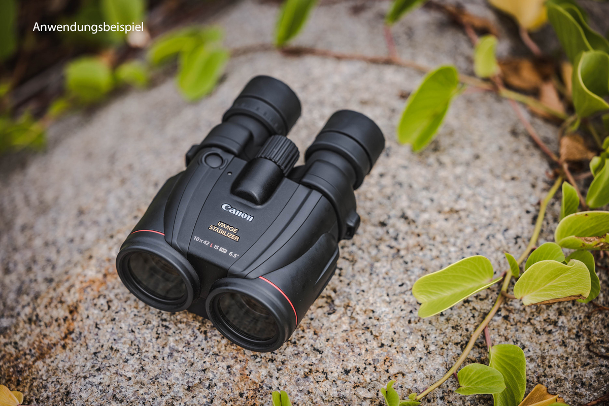 Canon Binocular 10x42 L IS WP 4960999256498