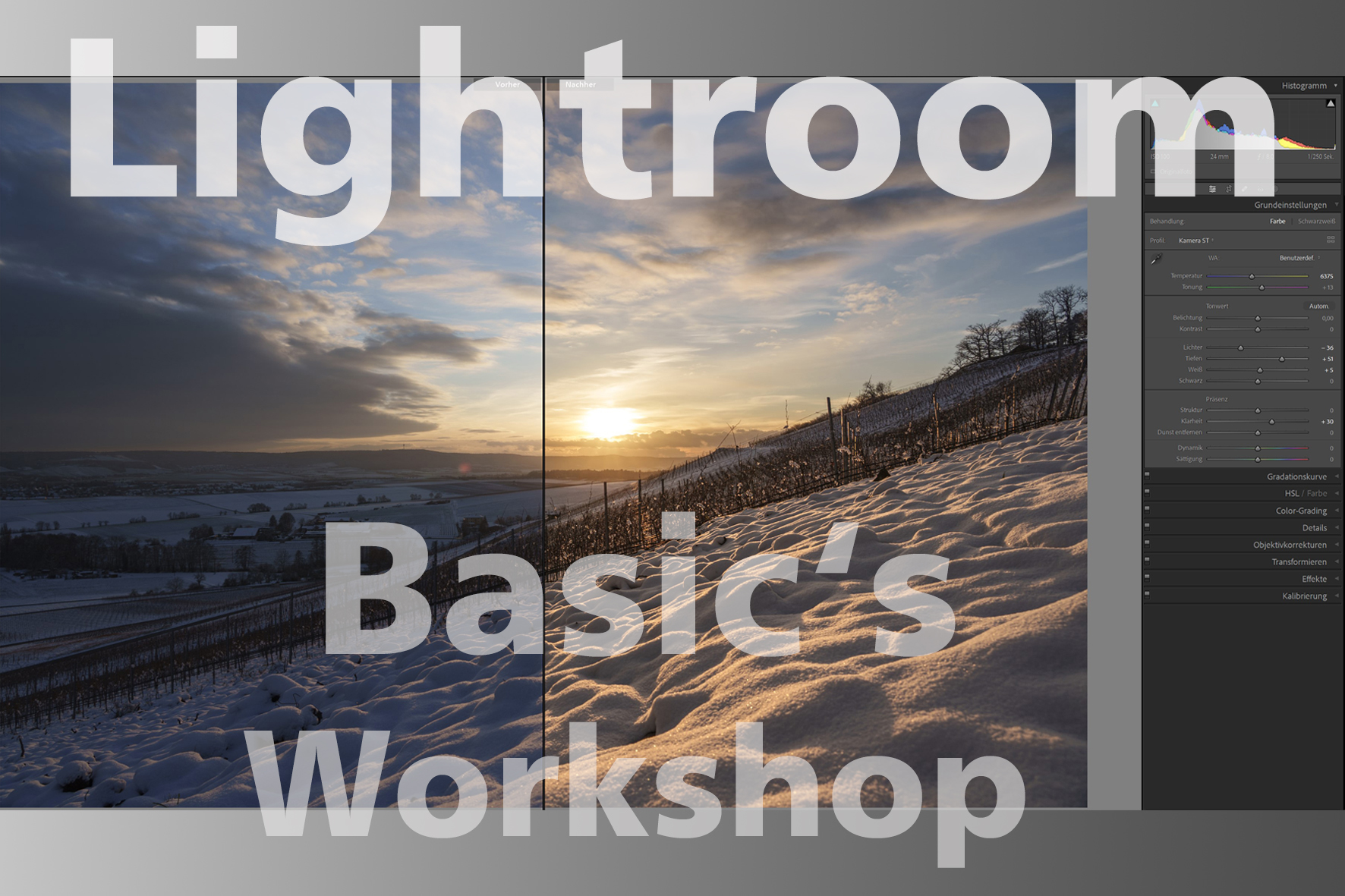 Basic's | Adobe "Lightroom Classic" - Workshop Basic's | Adobe "Lightroom Classic" - Workshop