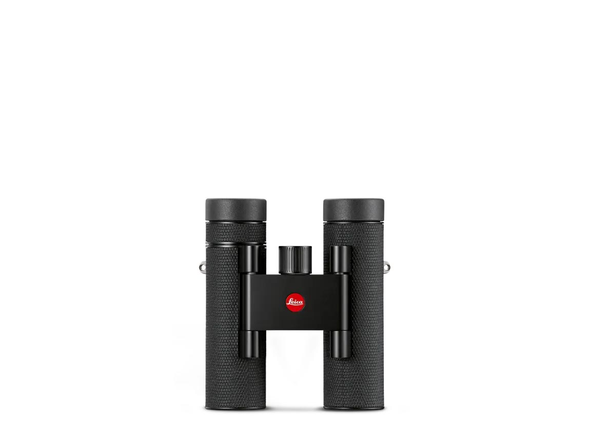 Leica Noctivid 8x25, schwarz, beledert