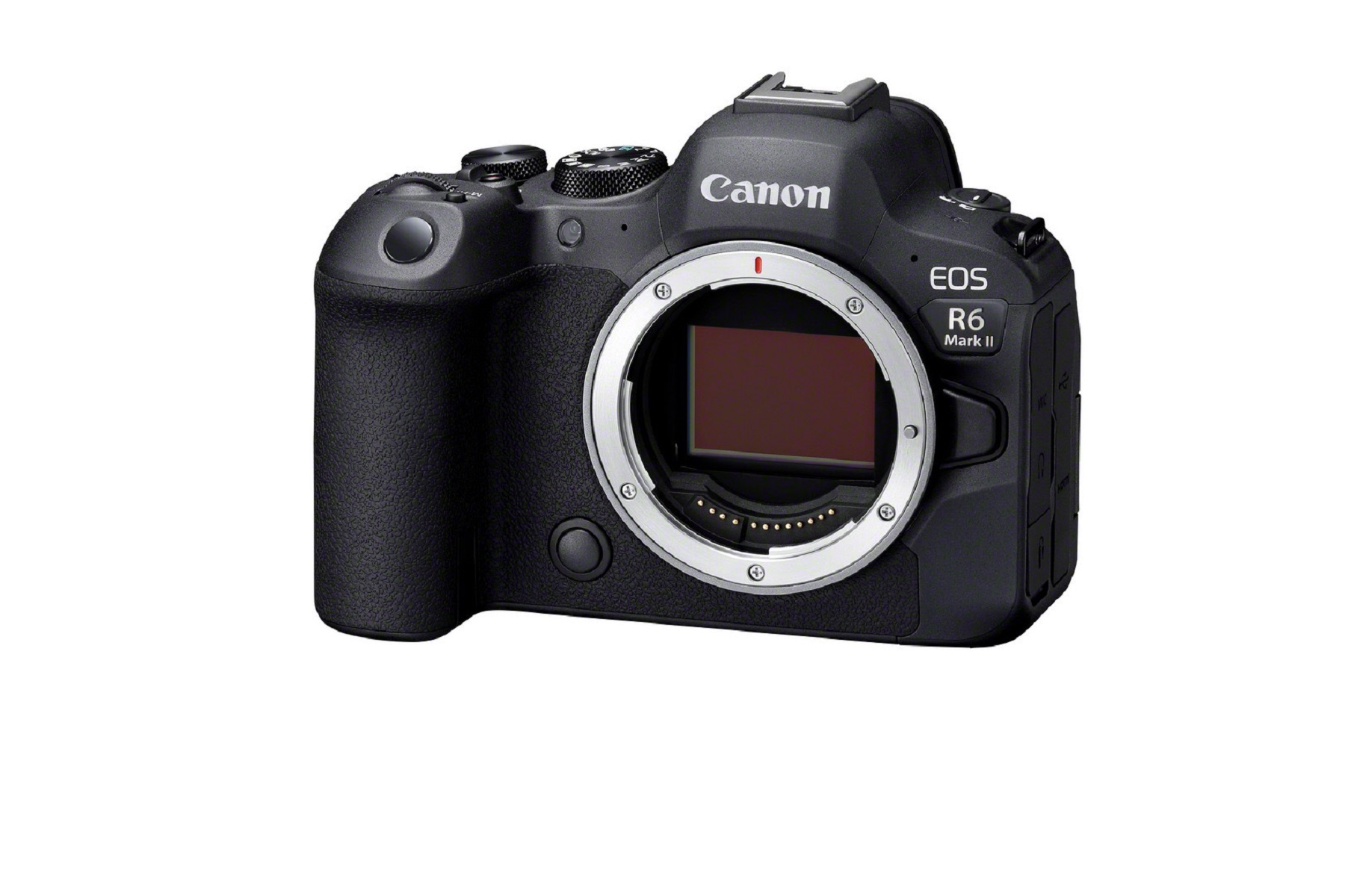 Canon EOS R6 II Set mit EF - EOS R Bajonett Adapter