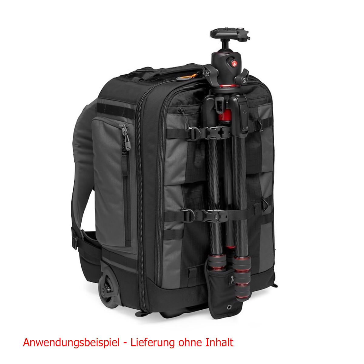 Lowepro ProTrekker RLX 450 AW II, grau Fotorucksac 8024221726237