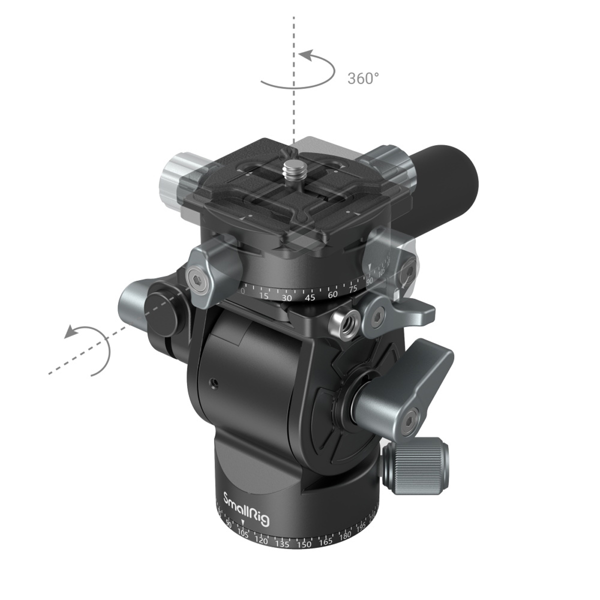 6941590010960