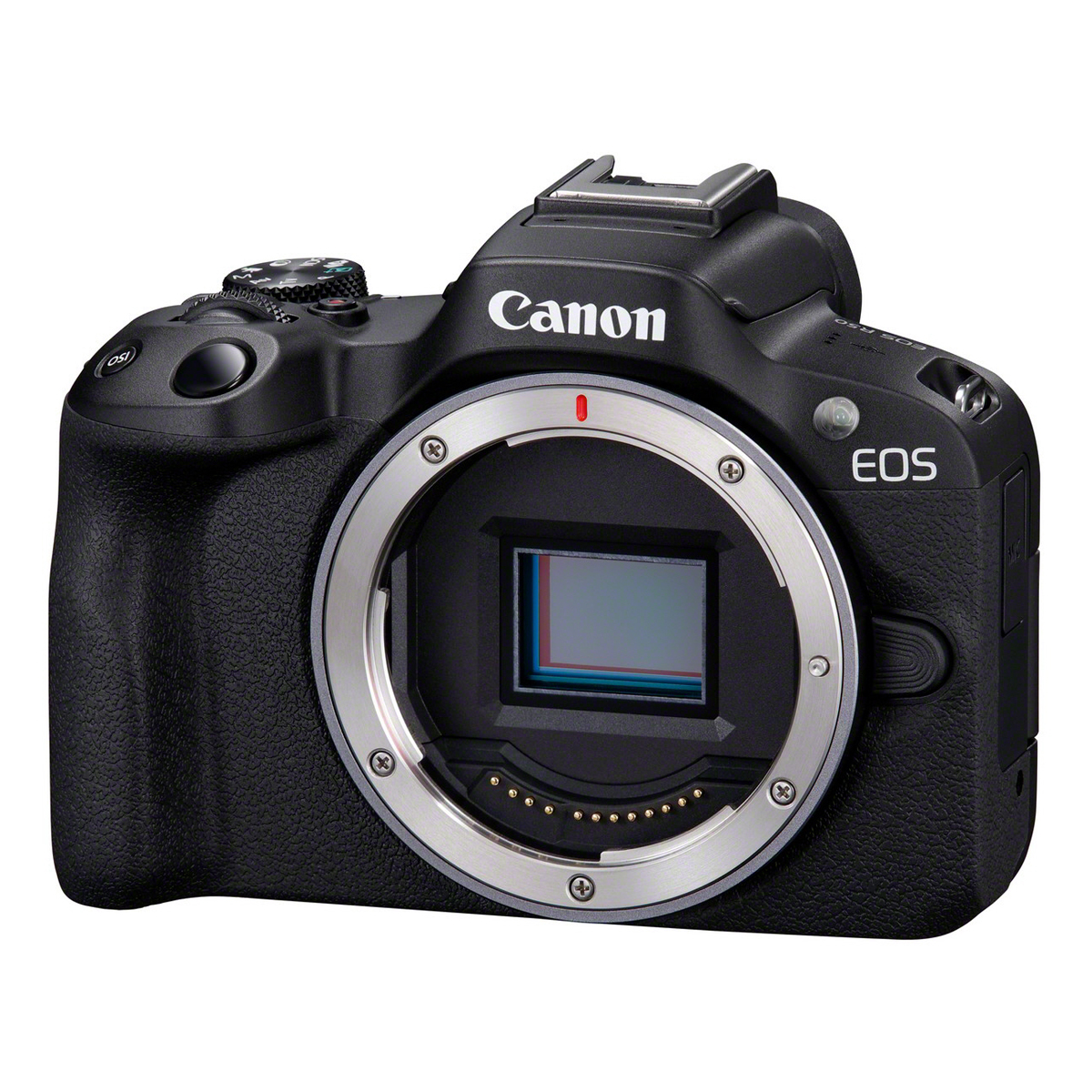 Canon EOS R50 Set mit EF - EOS R Bajonetter Adapter