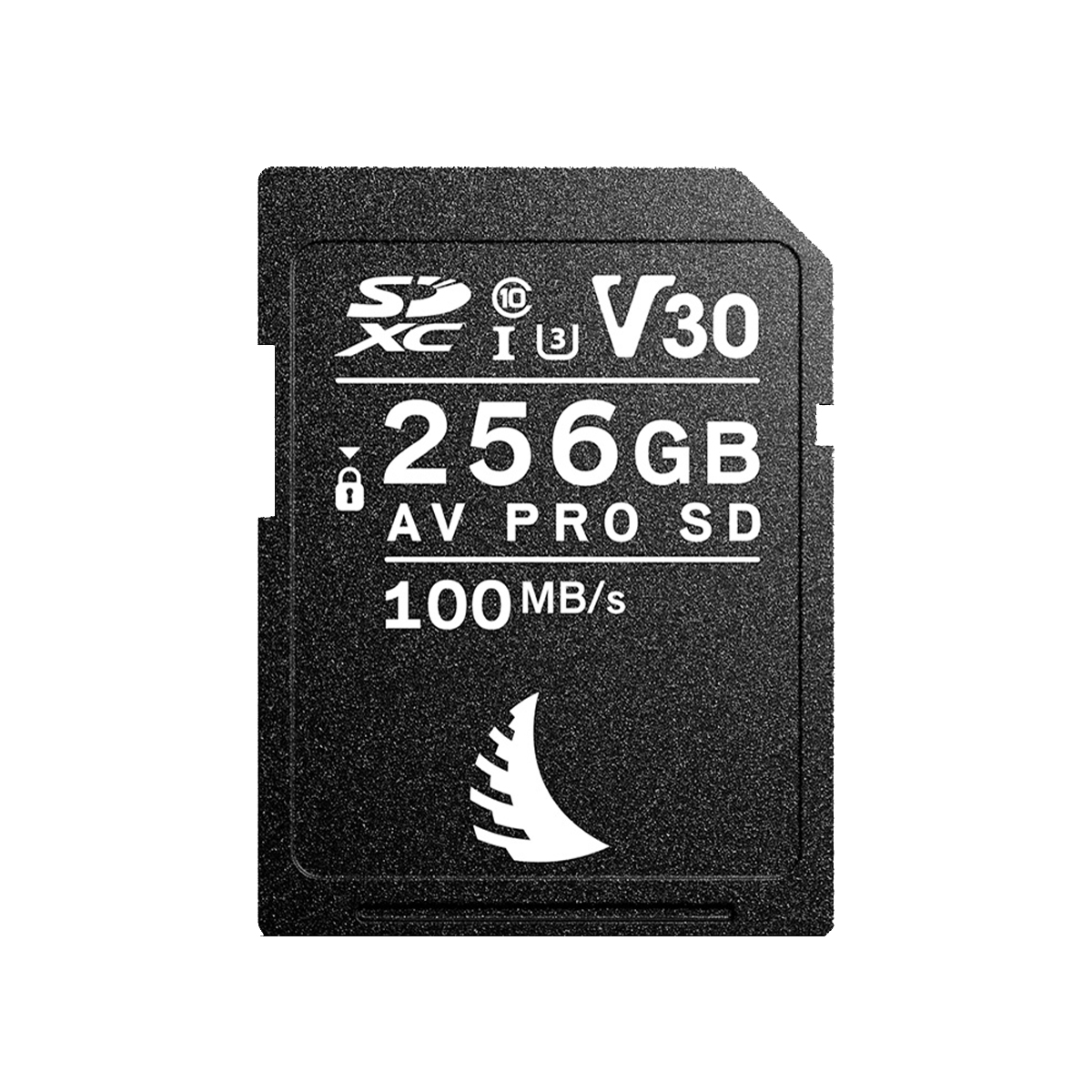 Angelbird 256 GB V30 SD Karte AV UHS-I 9120056586691
