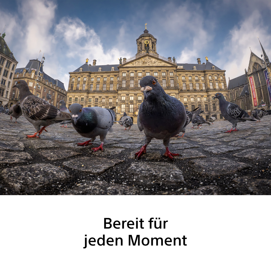 Sony FE 3,5/8-14 mm Fisheye G Objektiv