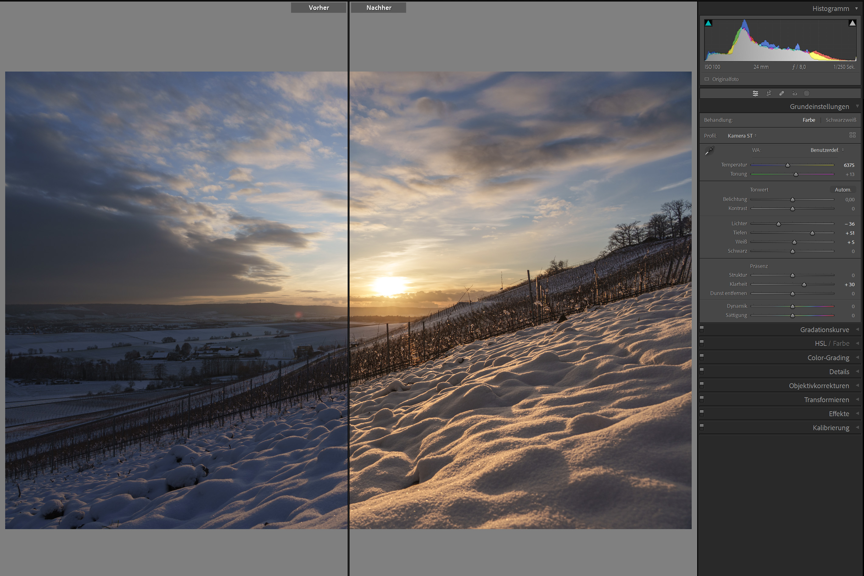 Basic's | Adobe "Lightroom Classic" - Workshop