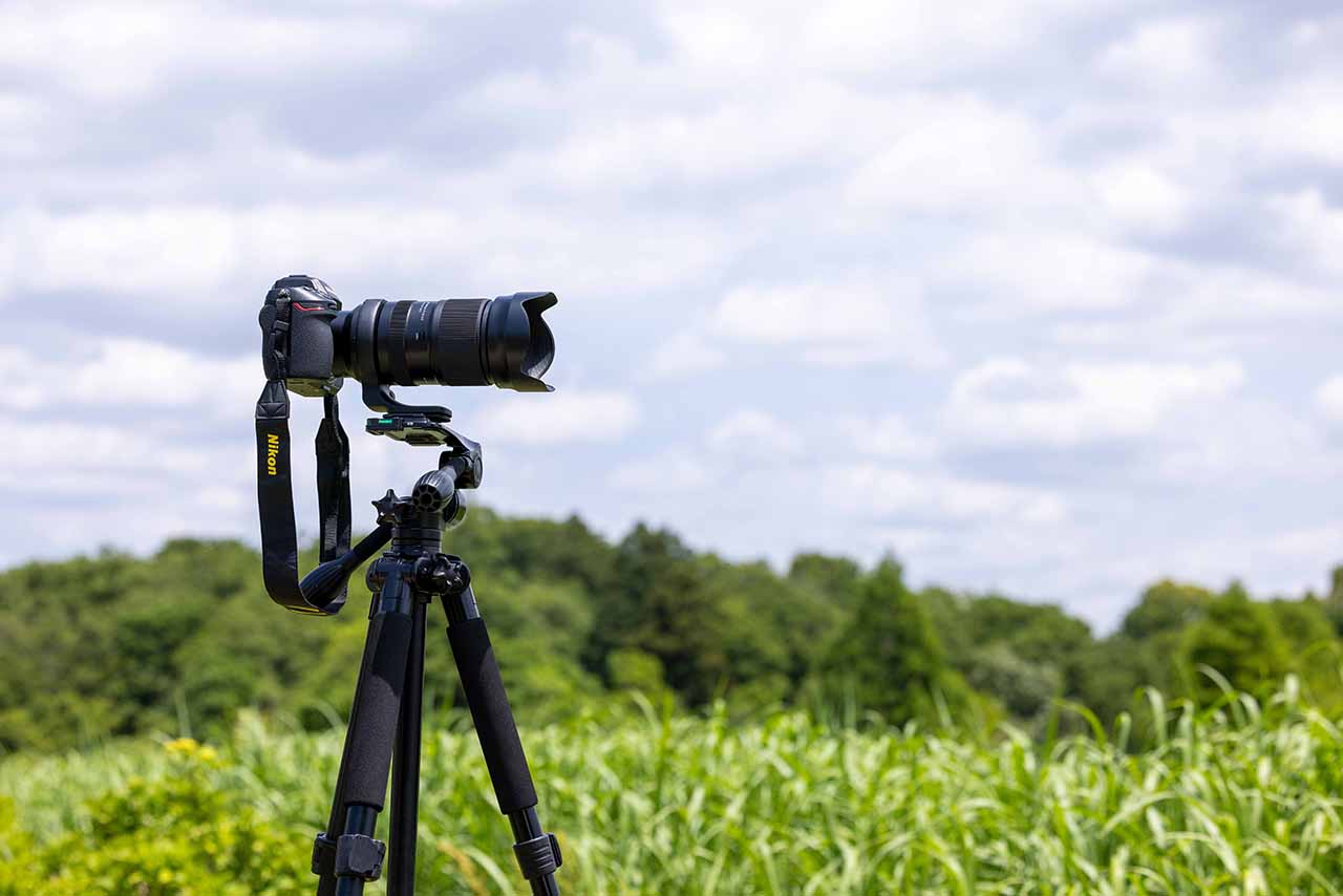Tamron 50-400mm F/4.5-6.3 Di III VC VXD (A067Z) f. Z-Mount 4960371006956