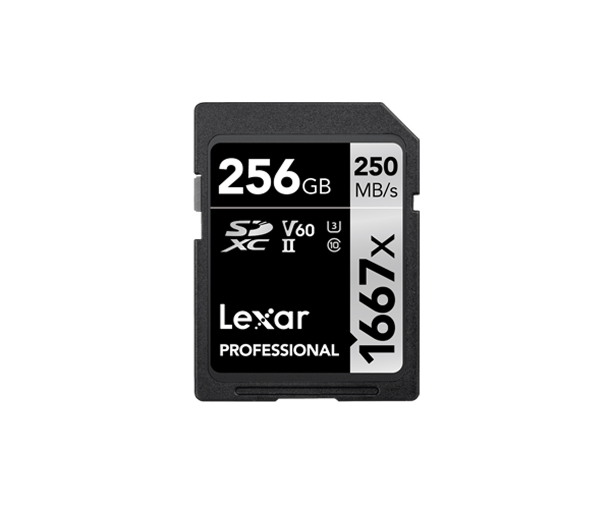 Lexar 1667x SDXC 256 GB, C10, U3, V60 Professional 0843367114962