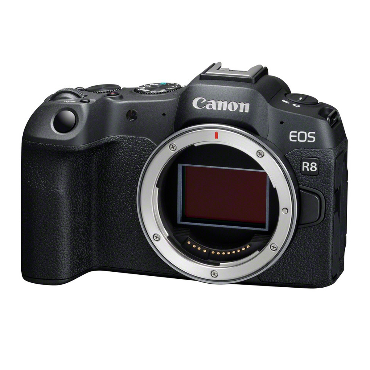 Canon EOS R8 Set mit Canon RF 2,8/28-70 mm IS STM
