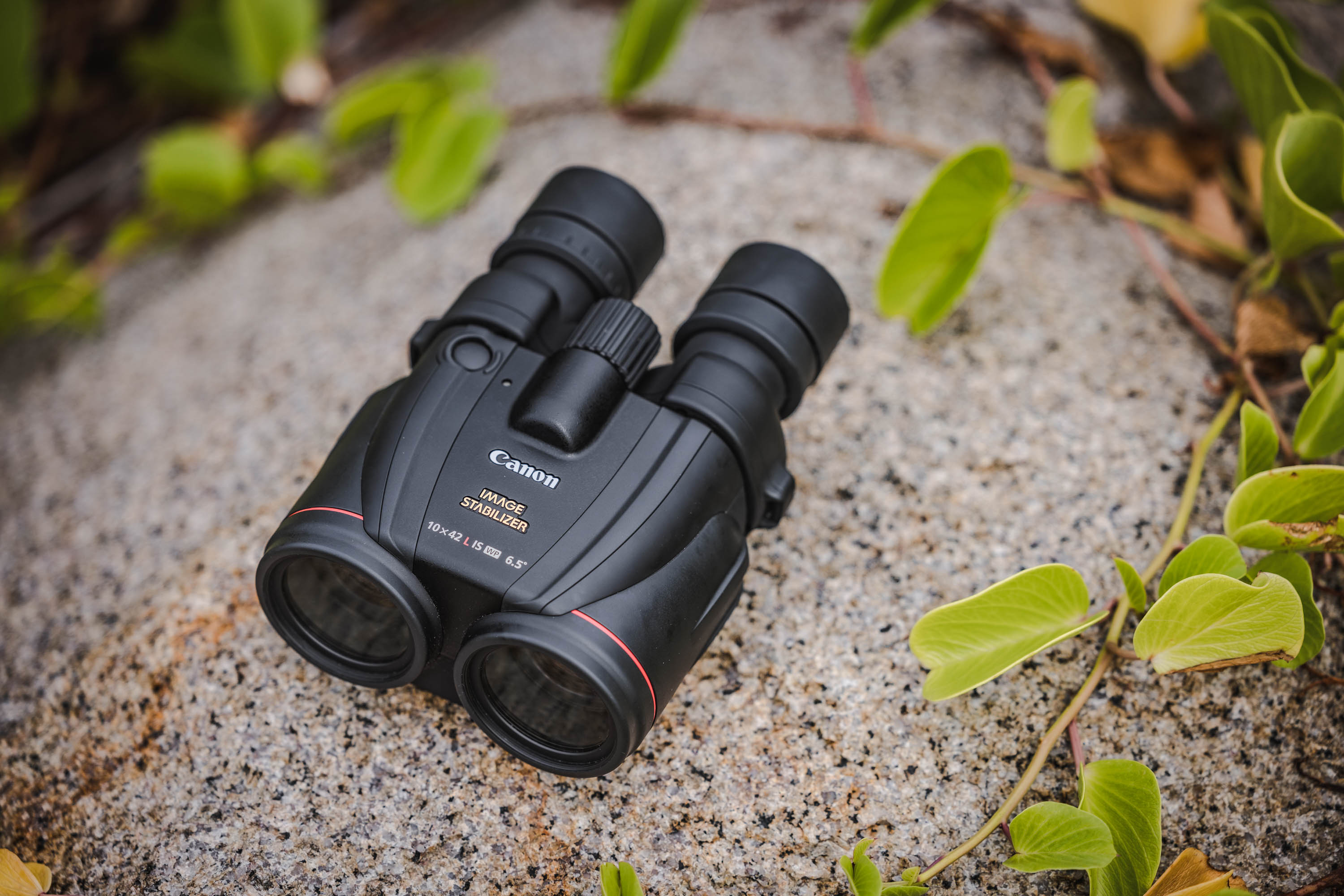 Canon Binocular 10x42 L IS WP 4960999256498