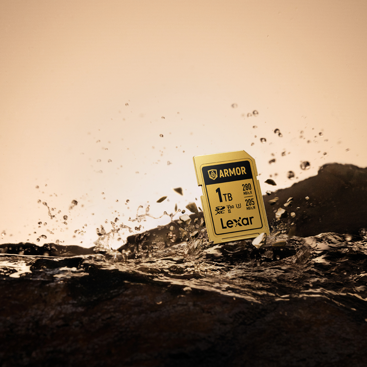 Lexar Armor Pro Gold 1 TB SDXC V60 (280/205 MB/s) 0843367138593