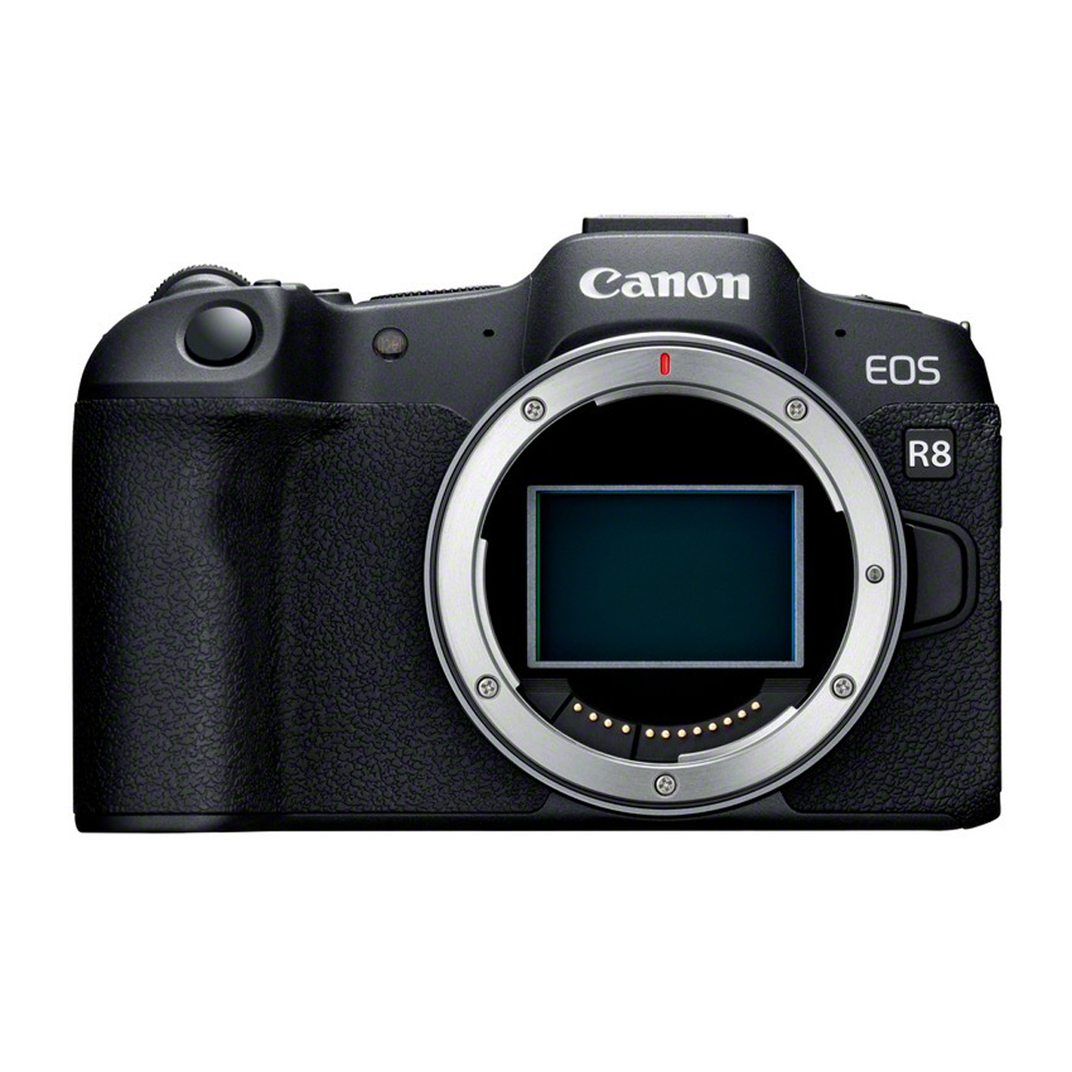 Canon EOS R8 Set mit Canon RF 2,8/28-70 mm IS STM