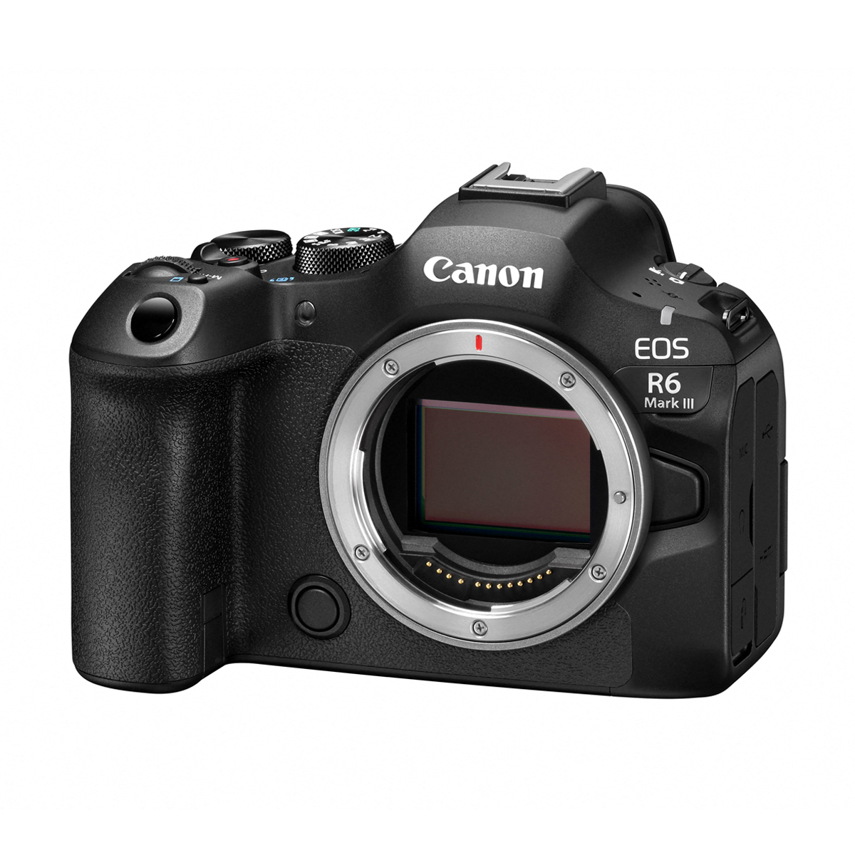 Canon EOS R6 III Set mit Canon RF 1,2/45mm STM